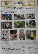 Photo challenge instruction sheet