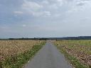 Empty farm roads