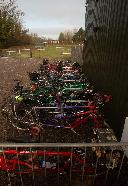 Tandems at Wolfridge Alpaca Barn