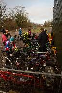 Tandems at Wolfridge Alpaca Barn