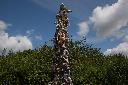 25.05.25-8 Monkeys climbing a tree