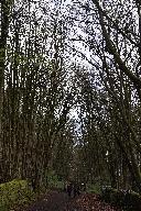 Paul and Mary Heath ascend the Middleton Incline