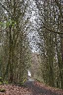 Ascending the Middleton Incline