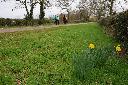 Ron, Linda and the Blundells pass daffodills