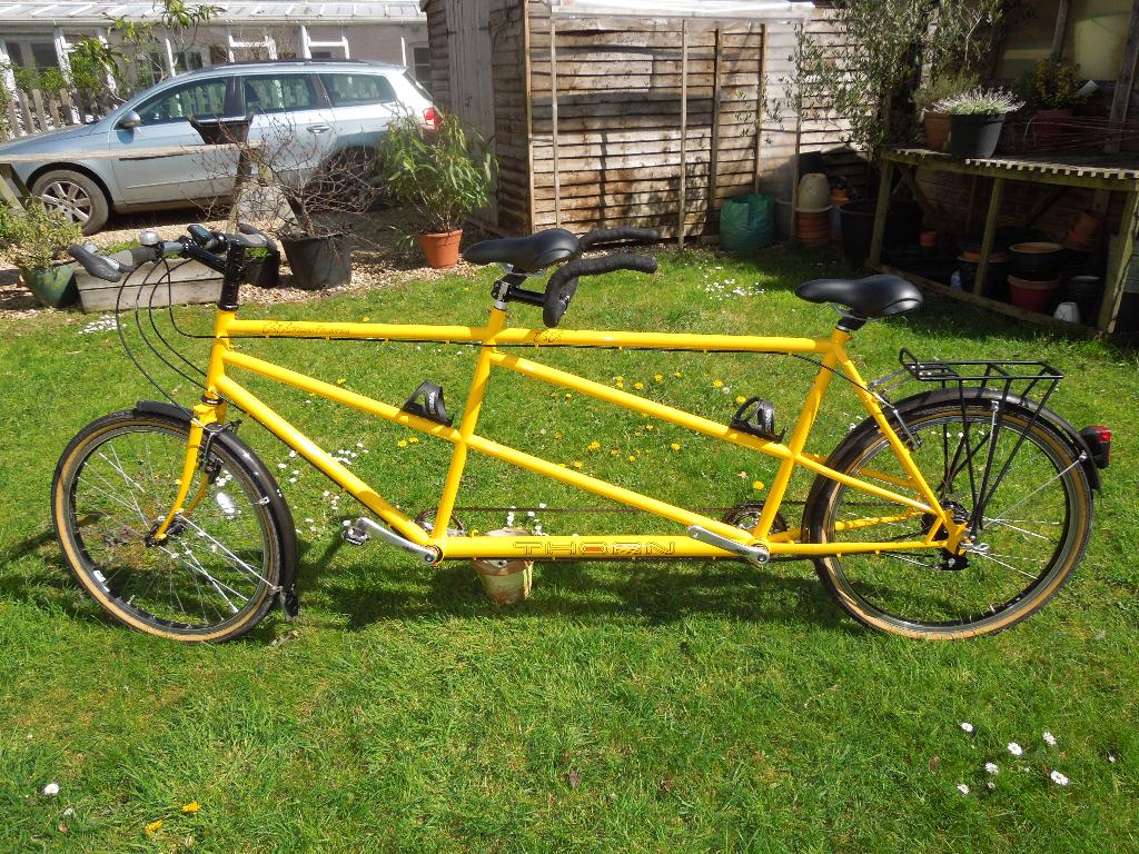 thorn tandem for sale