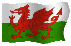 Flag of Wales/Baner Cymru