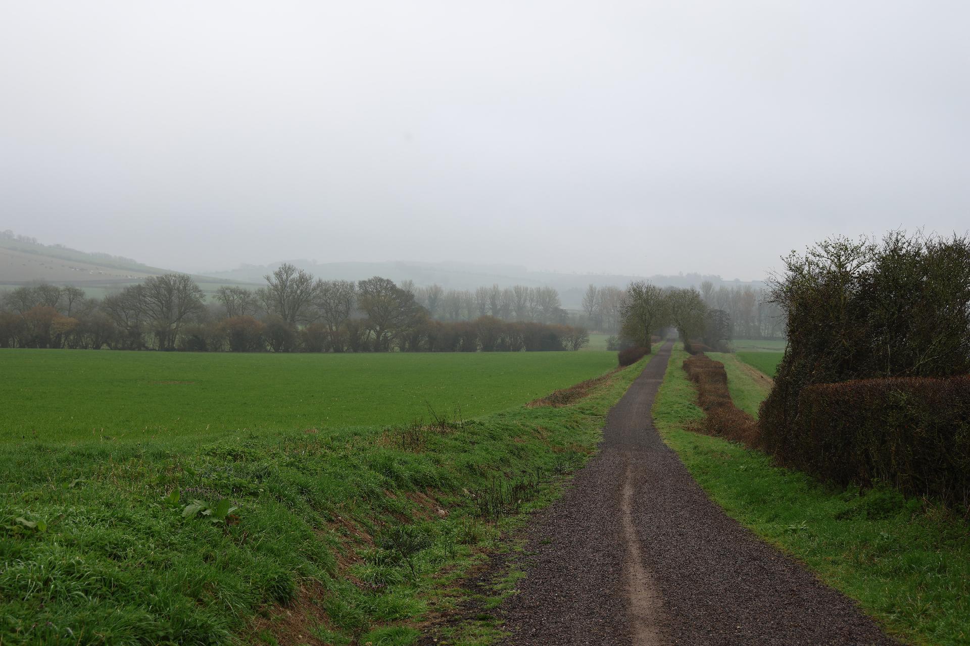 Surface of the trailway