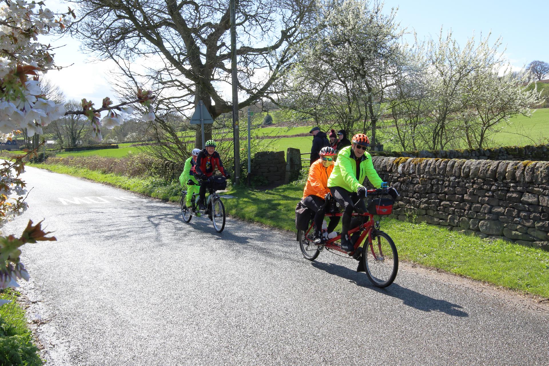 Ron,Linda,Terry,Cathy by flowering tree